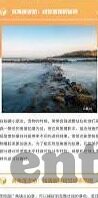彩杏产地-彩杏产地，自然馈赠的甜蜜与色彩